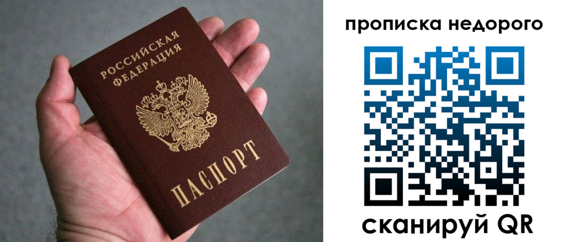 прописка поиск в Смоленской области